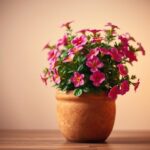 jak ozdobić kwiatka w doniczce na prezent